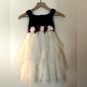 Biscotti Black Velvet Garment